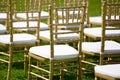 Gold and whiteChairs for wedding ceremony