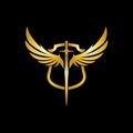 Gold winged sword with shield vector icon