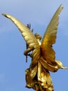 Gold wings