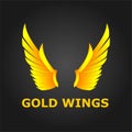 Gold Wings, Beautiful design and modern wings