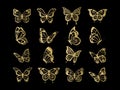 Gold wings butterfly. Golden insect bugs tatto silhouettes, queen monarch tattoos insects symbols, beautiful farfalle