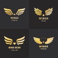 Gold wings logo vector set. Vintage hipster design. Part two.