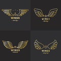 Gold wings outline logo vector set. Part four.