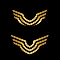 Gold Wings Vector Logo on Dark Surface Royalty Free Stock Photo