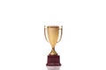 Gold winner cup trophy isolated on white background. Business goal, copy space