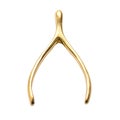 Wishbone isolated on transparent background Royalty Free Stock Photo