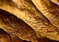 gold would showcase the intricate jewellary design closeup Royalty Free Stock Photo