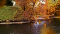 gold yellow  Autumn leaves fall  branch of trees and lake in park nature landscape Royalty Free Stock Photo