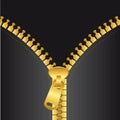 Gold zip vector Royalty Free Stock Photo