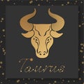 Gold zodiac Taurus horoscope sign on dark square background Royalty Free Stock Photo