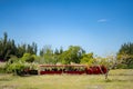 Goldcoast Train Museum passenger ride in nature Royalty Free Stock Photo