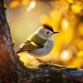 Goldcrest (Regulus regulus) Made With Generative AI illustration