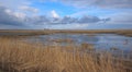 Golded and blue landscape in a reserve park with clouds over a swamp and grass.