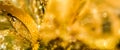 Golden abstract blur defocused background. Concept for New Years Eve, Christmas and happy holidays Royalty Free Stock Photo