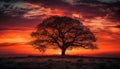 Golden acacia tree reflects sunset over African land generated by AI Royalty Free Stock Photo