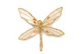 Golden accessory in form dragonfly