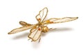 Golden accessory in form dragonfly