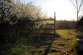 Golden Afternoon Light in the Ozarks Royalty Free Stock Photo