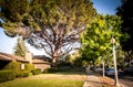 A Summer day on the streets of Palo Alto Royalty Free Stock Photo