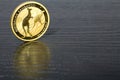 The Golden Age - Australian Kangaroo - A gold investment coin for bad times Royalty Free Stock Photo