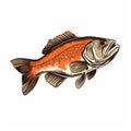 Golden Age Inspired Orange Bass Fish Illustration On White Background