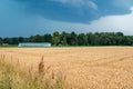 Golden agriculture fields of a farmland with dramatic cumulus clouds in the background, North Rhine Westphalia, Germany Royalty Free Stock Photo