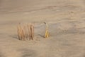 The golden alto saxophone stands on the sand next to the incense. Romantic musical background. Musical cover, creative, relaxation Royalty Free Stock Photo