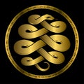 Golden Anaconda snake medallion