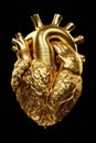 Golden anatomical human heart. Anatomy and medicine, health care concept. Internal organ made of gold isolated over black