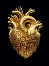 Golden anatomical human heart. Anatomy and medicine, health care concept. Internal organ made of gold isolated over black