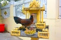 Golden Ancestral House, chicken pecking offerings to Buddha