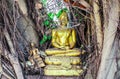 Golden ancient Buddha statues under the tree Royalty Free Stock Photo