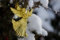 Golden Angel Christmas Ornament Decorating a Snowy Outdoor Tree