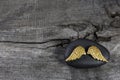 Golden angel wings on a black stone with grey wooden background. Royalty Free Stock Photo