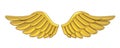 Golden Angel Wings Isolated Royalty Free Stock Photo
