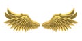 Golden Angel Wings Isolated