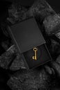Golden Antique Key in a Black Box - Success Concept Royalty Free Stock Photo