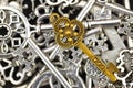 Golden antique key Royalty Free Stock Photo