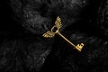 Golden Antique Key with Wings on Dark Black Background Royalty Free Stock Photo