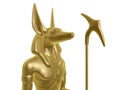 Golden anubis