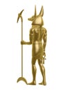 Golden anubis Royalty Free Stock Photo