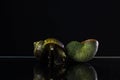 Golden Apple Snail.On a black background, the enemies in rice f Royalty Free Stock Photo