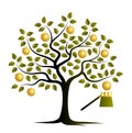 Golden apple tree Royalty Free Stock Photo