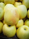Golden apples on display Royalty Free Stock Photo