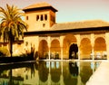 Golden Arabic palace, pool and palm. Royalty Free Stock Photo