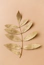 Golden ash tree leaf on beige background Royalty Free Stock Photo