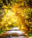 Golden autumn alley arch