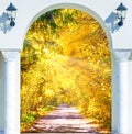 Golden autumn alley arch