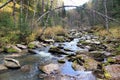 Golden autumn in the Altai region in Russia. Beautiful landscape - road in autumn forest