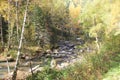 Golden autumn in the Altai region in Russia. Beautiful landscape - road in autumn forest